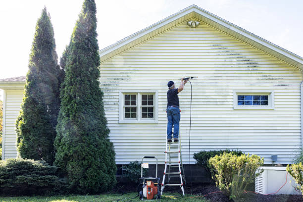 Best Residential House Exterior Washing  in USA